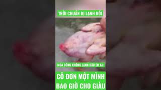 Muốn làm giàu luôn cô động và lạnh lùng