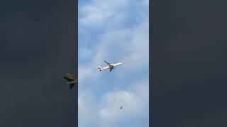 Emirates Airlines flight to Dubai #planespotting #viral #emiratesairlines #shorts