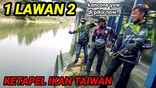 Di Keroyok 2 Master ||KETAPEL IKAN|| @mberothabis #viral #trending #ketapelikan