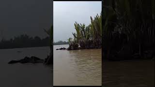 Riverboat #vietnam #mekongdelta #dangerous