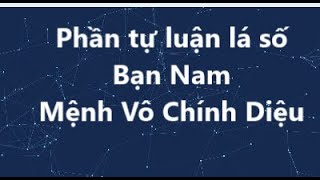 Bài tự luận lá số của bạn Dương - Mệnh vô chính diệu tại Dậu