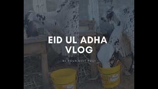 Sohrab Goth Gaye Mandi | Hamari Qurbani Kay Janwer | Qurbani 2021 | Allah Qurbani Qubool Fermayai