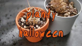 PLANTY HALLOWEEN | plants that died