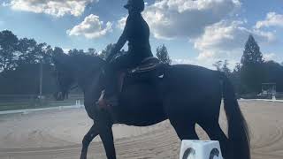 WDAA Western Dressage Intro Test 3 Amateur JamieLynne Weiss and First Impression #equestrian