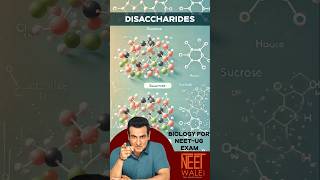 Disaccharides | Sucrose | Maltose & lactose | Biomolecules | class 11th Biology | #neet #biology