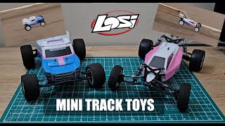 A Look and Run of My LOSI MINI T 2.0 and MINI B!