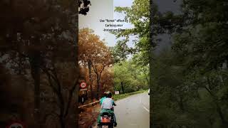 Change green trees into Orange Color effect..#shorts #tutorial #travel #trending #youtubeshorts