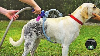 Insane  pet toys and gadgets you must have | insane pet show | insane pet houses | insane pet names|