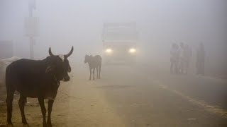 Watch: Fairy Smog Brings Zero Visual Effect on India's street