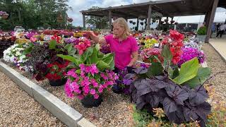 2024 Takii Combination Planters at Young's Plant Farm