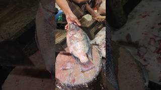 Amazing Tilapia Fish Cutting Skills In Bangladesh Fish Market #shorts