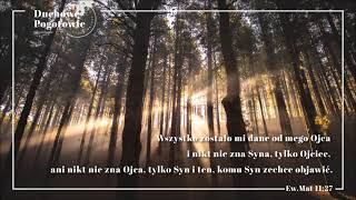 BIBLIA WARSZAWSKA: Ewangelia Mateusza rozdziały #11-15