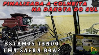 FINALIZANDO A COLHEITA NO SUL E VOLTANDO PARA O NORTE