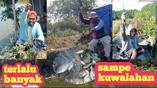 masih neter,spot mancing abib,kampung sarang nyamuk