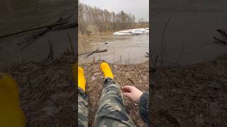 Первая рыбалка по открытой воде в этом году #russia #live #love #fishing #funny #nature  #beautiful