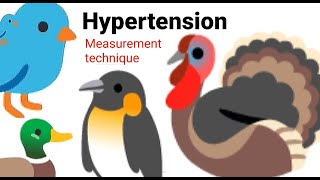 Hypertension (Measurement technique)