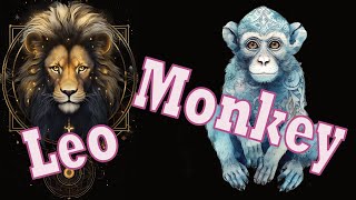 Leo Monkey - Charismatic and Energetic