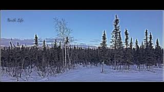 My Life In Arctic (61)-Norman Wells-NT Canada