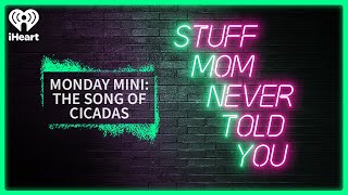 Monday Mini: The Song of Cicadas | STUFF MOM NEVER TOLD YOU