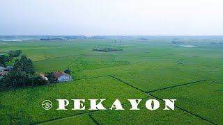 RAPIH! Tersier Desa Pekayon - Sukadiri ~ Jemput Air Songsong Asa