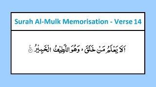 Surah Al-Mulk Verse 14 (Of 30) Memorisation [Arabic Quran]