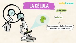 La célula :: Biología y Geología, 1° ESO