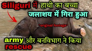 Baby elephant fell into water reservoir😱| Army men and Forest guards rescued🐘| बच्चा हाथी खतरे में😰