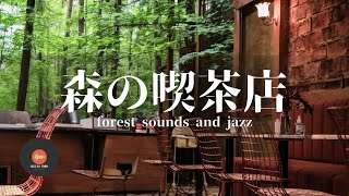 環境音＋JAZZ やさしい森の喫茶店 川のせせらぎ 鳥のさえずり リラックス、作業、勉強などに  - 作業用BGM