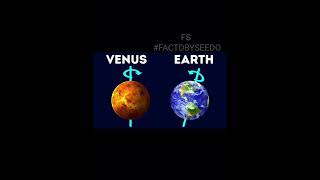 Amazing Fact : Venus Spins Clockwise! #venus#space#trending#didyouknow#facts#trendingshorts#usa