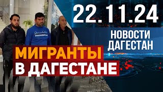 Штрафы и выдворения из страны. Новости Дагестана за 22.11.2024 год