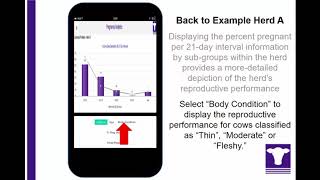 BCI Pregnancy Analytics Mobile App - Dr.Larson Interpreting Data