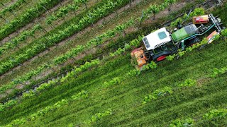 Unterstock- & Zwischenzeilen-Bearbeitung in einem Arbeitsschritt 💪 | Weingut Zaiß | Obertürkheim