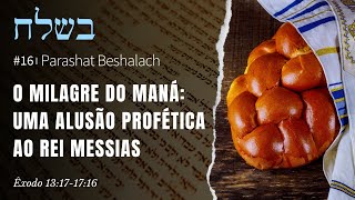 16. Parashat Beshalach (Quando ele enviou)