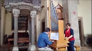 Girolamo Cavazzoni: "Ave maris stella" (A.Corti, gothic organ built by Walter Chinaglia)