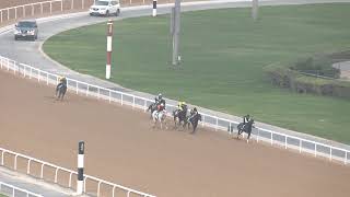 MEYDAN TRIALS 131124 TRIAL 2