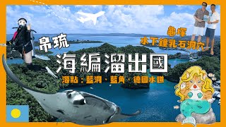 初探帛琉潛水 3 大潛點 : 藍洞、藍角、德國水道，替 Spawn Diving 暖身做準備 ft. LT Dive