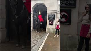 Horses Guard Uk is live