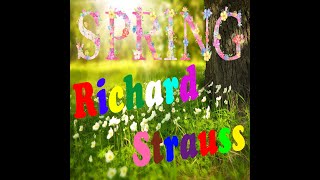 Richard Strauss: Spring Impressions