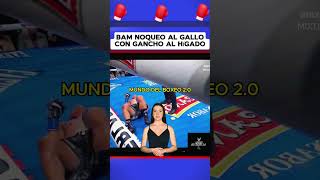 Bam Rodriguez noqueo a Gallo Estrada con gancho al hígado #boxeo #boxing #box