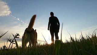 放松轻音乐让您与树木、花朵和野生生物们建立一种心灵的联系。您将沉浸在大自然的韵律中，将您的心灵与大自然融为一体。