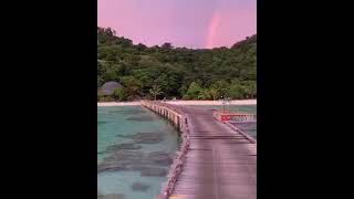 Bottom of Anambas Reserve, Riau Islands, Indonesia