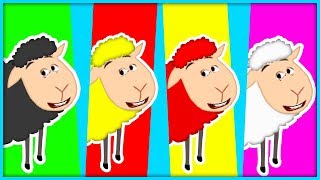 Baa Baa Color Sheep Compilation | Learn Your Colors Collection | Black, White, Blue, Pink + More