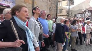 "Freude schöner Götterfunken" - Flashmob zur Europawahl in Hameln