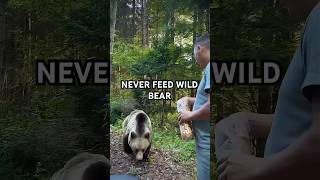 Feeding a wild bear is a mistake 🐻 #shorts #wildlife