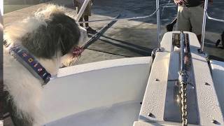 M/Y OLOH - Motor Yacht Haulout In Fort Lauderdale