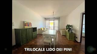 Condominio Stab Lido dei Pini - bilocale in affitto