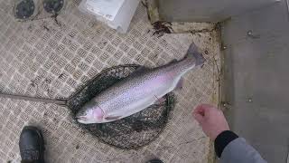 #Flyfishing Lechlade UK Still water #flyfishing after another lockdown... Wychwood 10ft 7wt rod.