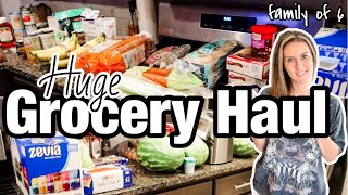 *HUGE* WEEKLY GROCERY HAUL | FAMILY OF 6 GROCERIES ON A BUDGET | FALL 2023 GROCERY HAUL