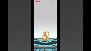 Evolving CHARMANDER SHINY to CHARMELEON SHINY | Pokémon Go