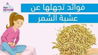 فوائد تجهلها عن عشبة الشمر .. !؟